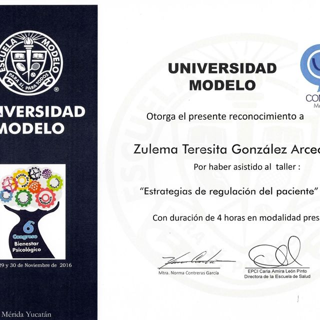 Ampliar imagen: certificate 28