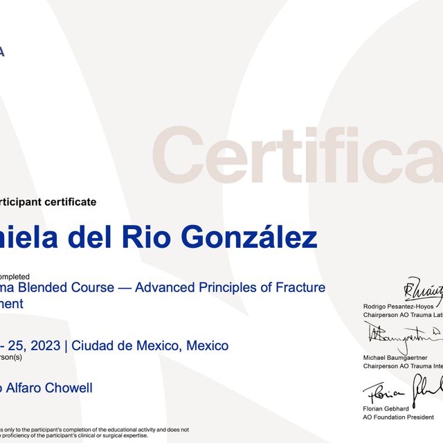 Ampliar imagen: certificate 2