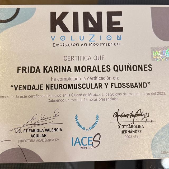 Ampliar imagen: certificate 1