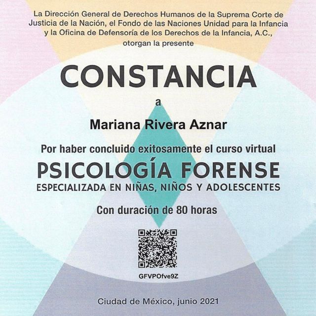 Ampliar imagen: certificate 7