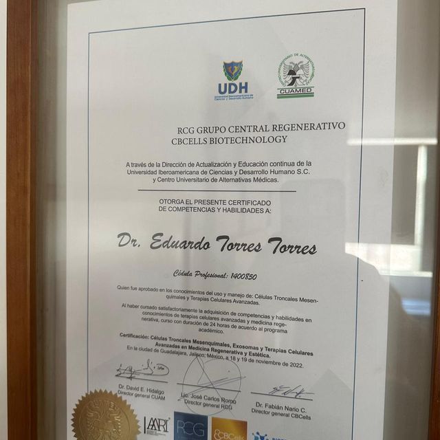 Ampliar imagen: certificate 2