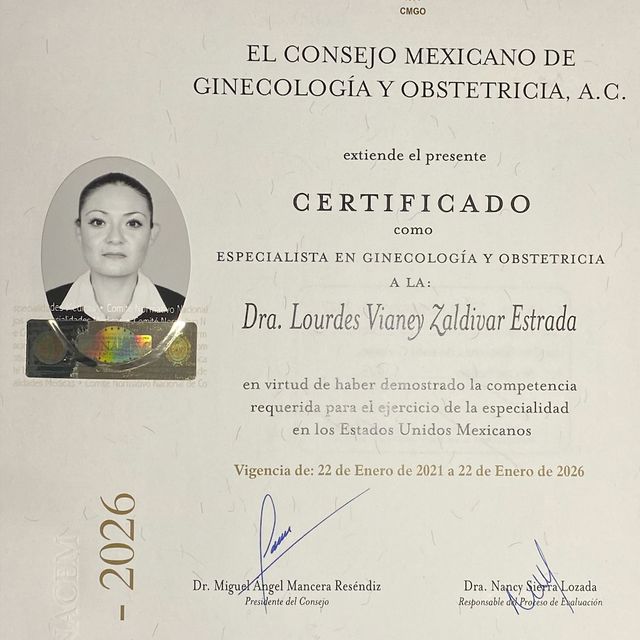 Ampliar imagen: certificate 5