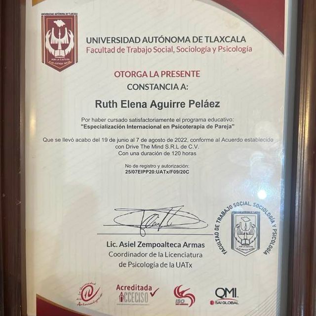 Ampliar imagen: certificate 1