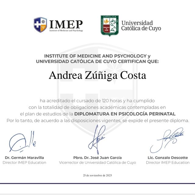 Ampliar imagen: certificate 17