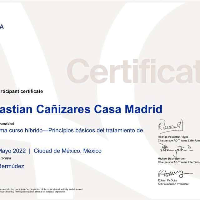 Ampliar imagen: certificate 3