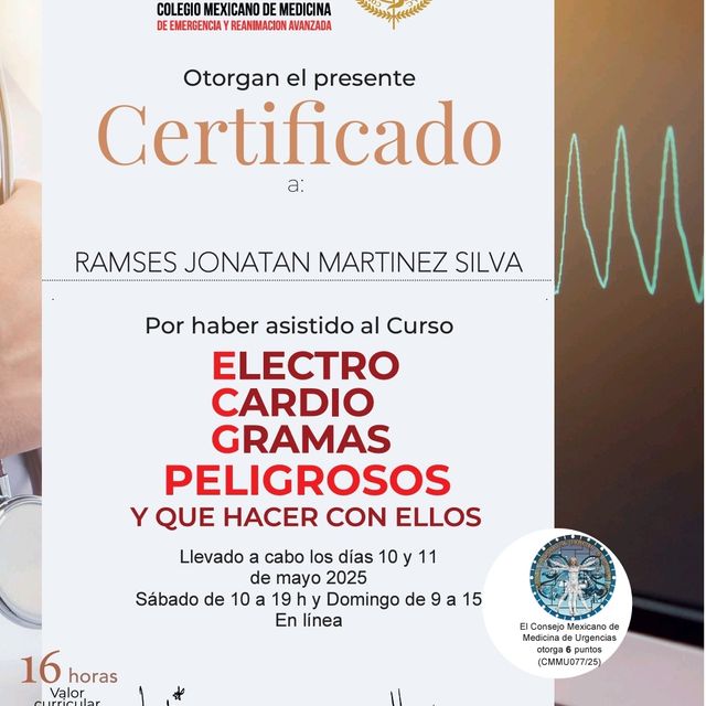 Ampliar imagen: certificate 3