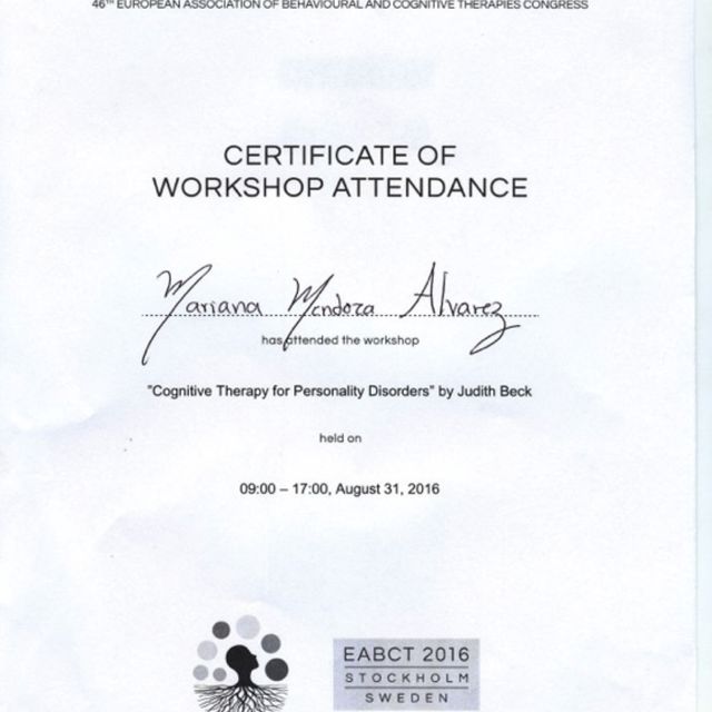 Ampliar imagen: certificate 8