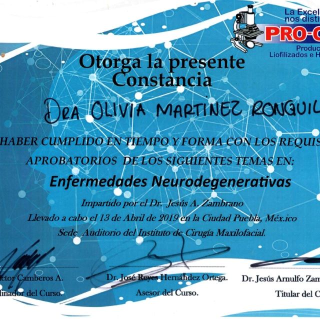 Ampliar imagen: certificate 1