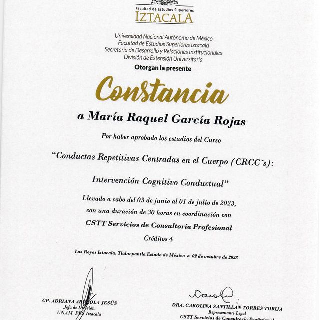 Ampliar imagen: certificate 3
