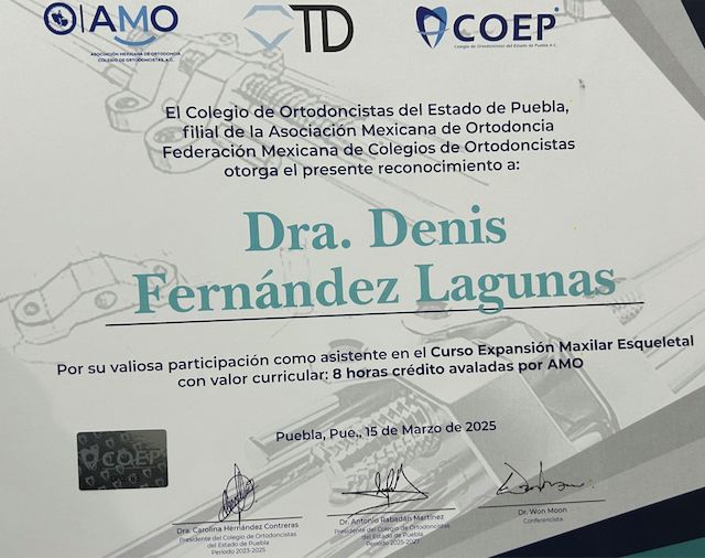 Ampliar imagen: certificate 4