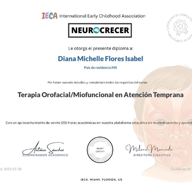 Ampliar imagen: certificate 2
