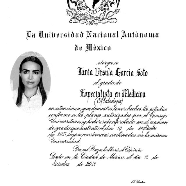 Ampliar imagen: certificate 5