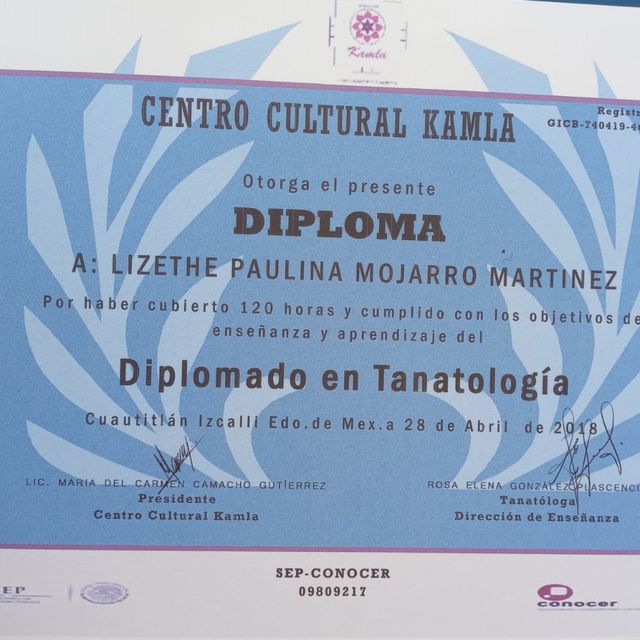 Ampliar imagen: certificate 8