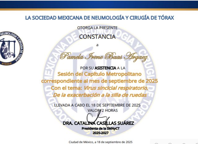 Ampliar imagen: certificate 2