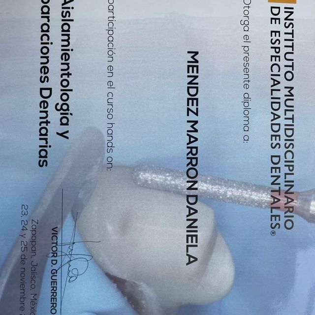 Ampliar imagen: certificate 1