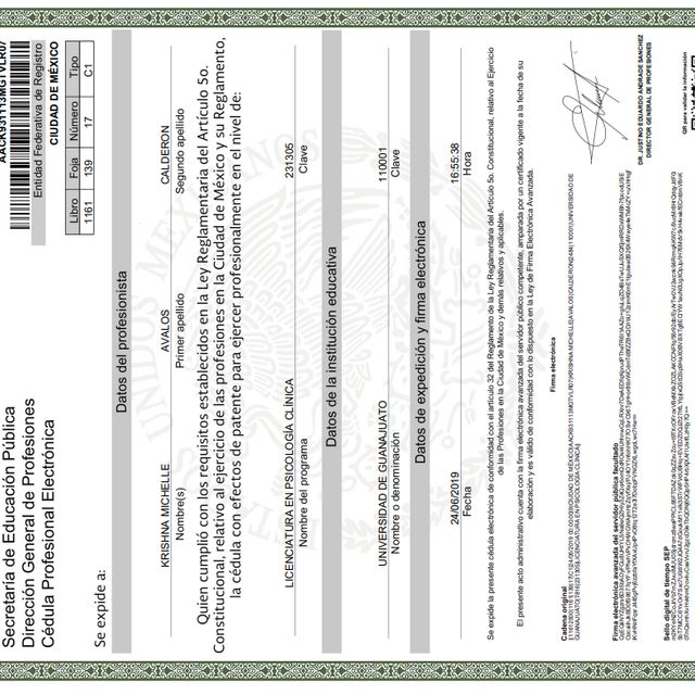 Ampliar imagen: certificate 1