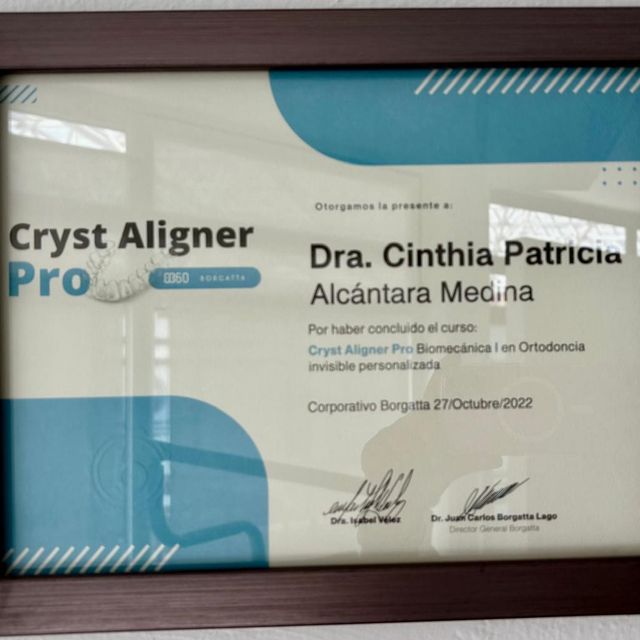 Ampliar imagen: certificate 2