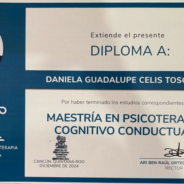 Ampliar imagen: certificate 2