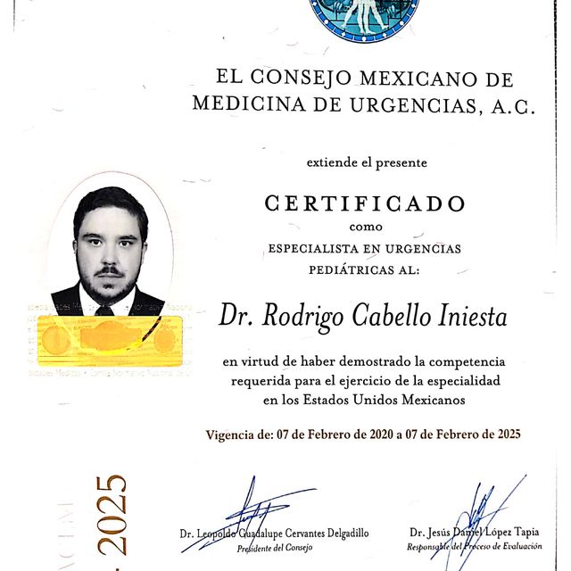 Ampliar imagen: certificate 4