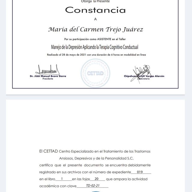 Ampliar imagen: certificate 8