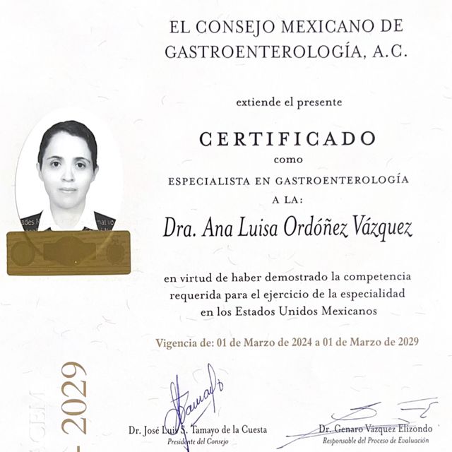 Ampliar imagen: certificate 3