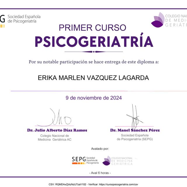 Ampliar imagen: certificate 10