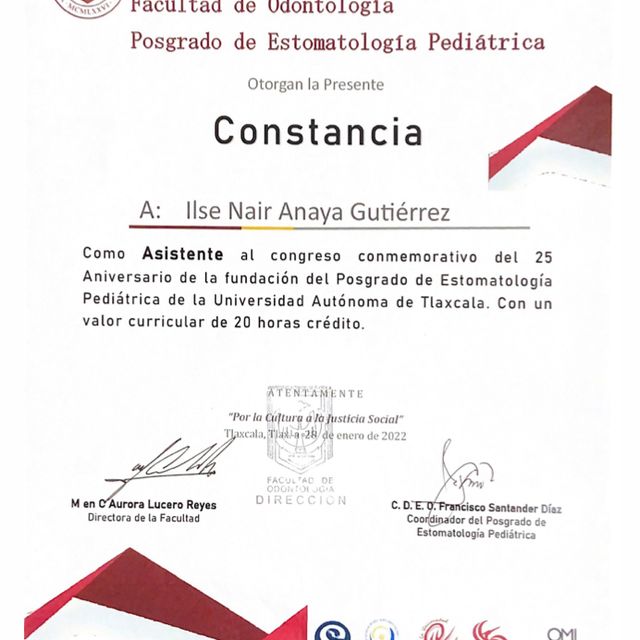 Ampliar imagen: certificate 6