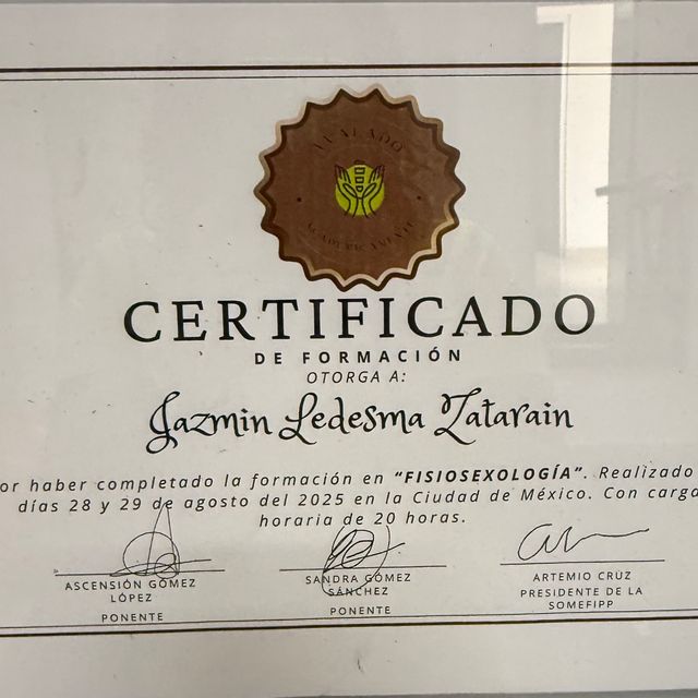 Ampliar imagen: certificate 4