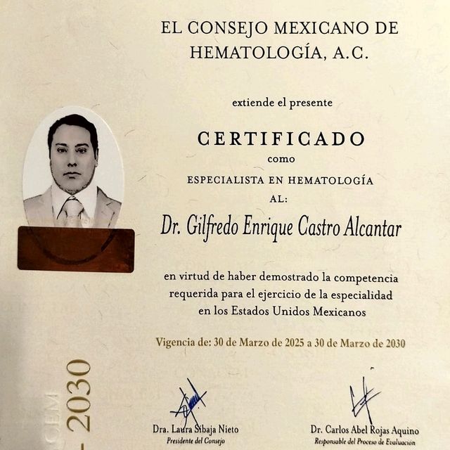 Ampliar imagen: certificate 2