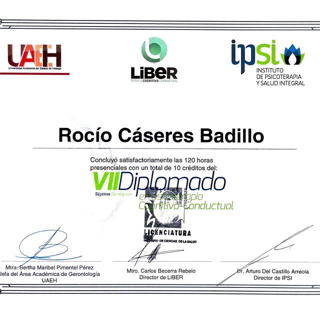 Ampliar imagen: certificate 13