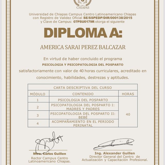 Ampliar imagen: certificate 29