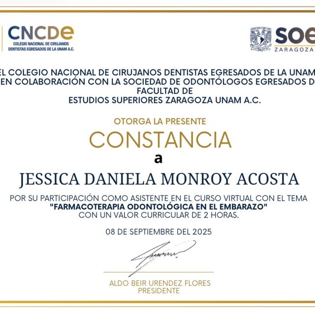 Ampliar imagen: certificate 2