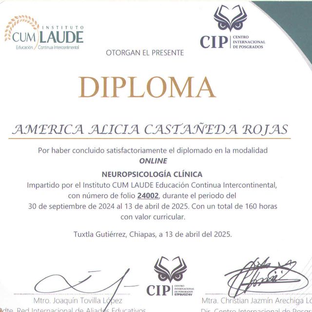 Ampliar imagen: certificate 2