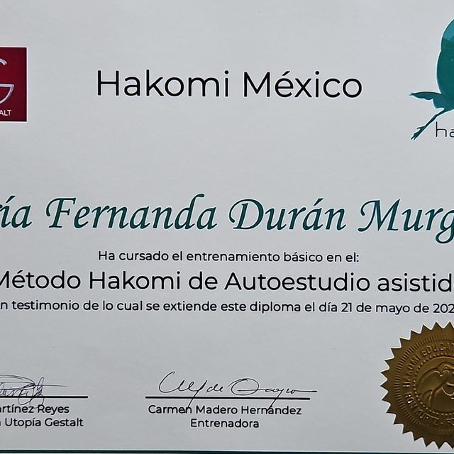 Ampliar imagen: certificate 6