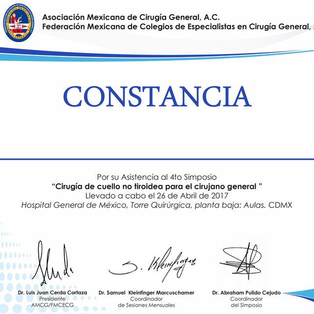 Ampliar imagen: certificate 6