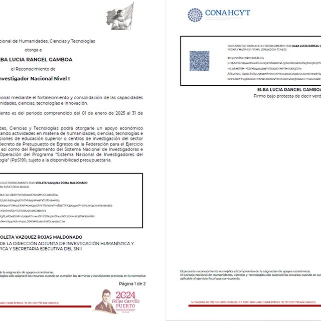 Ampliar imagen: certificate 10