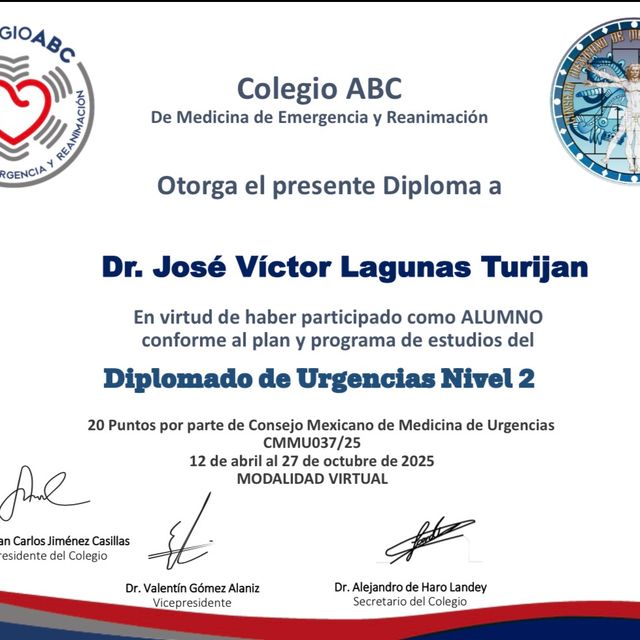Ampliar imagen: certificate 3
