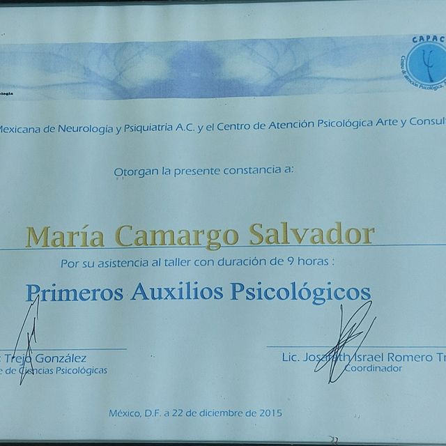 Ampliar imagen: certificate 23