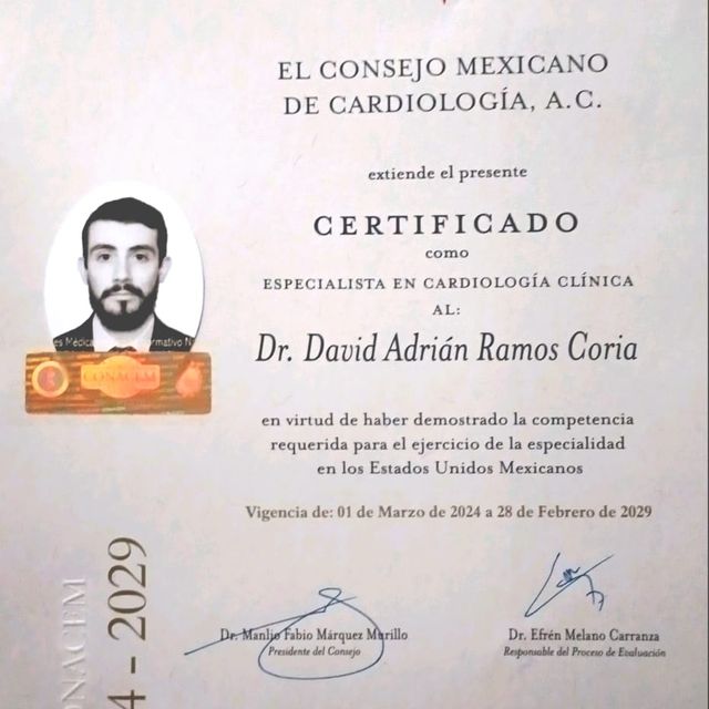 Ampliar imagen: certificate 1