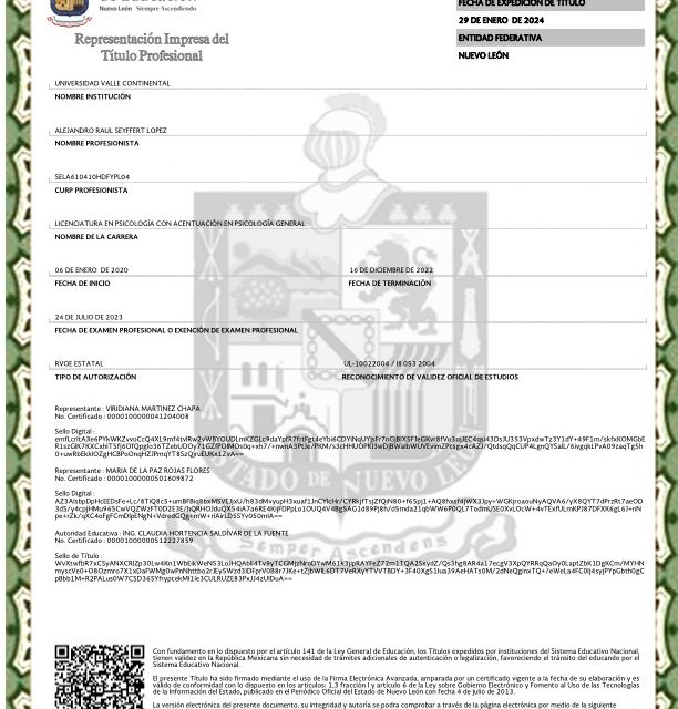 Ampliar imagen: certificate 2