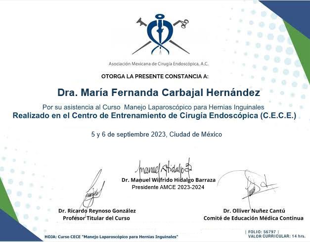 Ampliar imagen: certificate 4