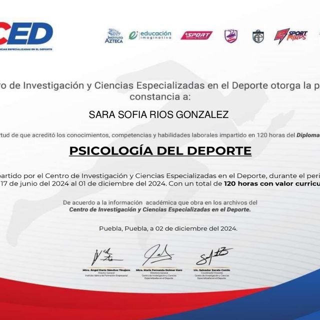 Ampliar imagen: certificate 2