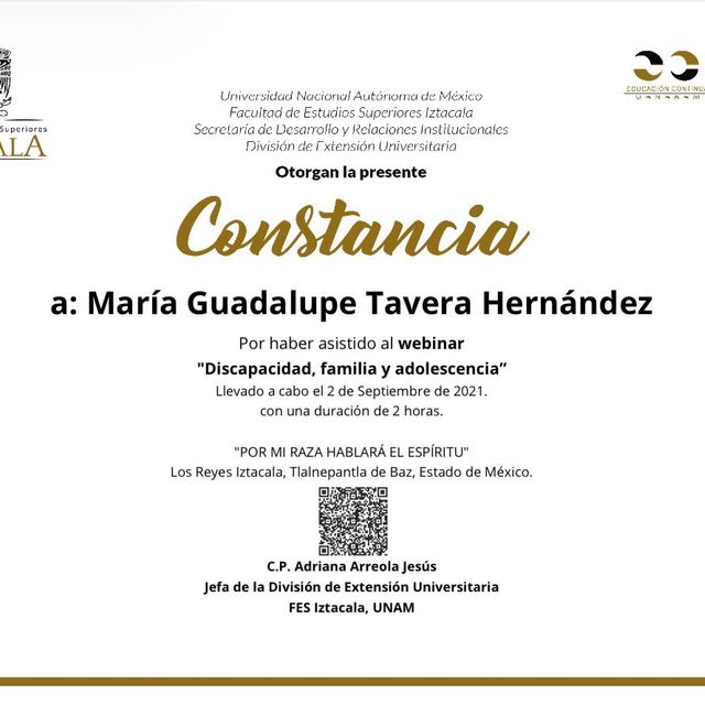Ampliar imagen: certificate 32