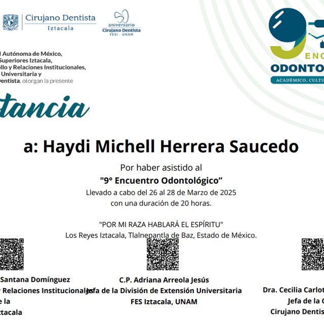 Ampliar imagen: certificate 4