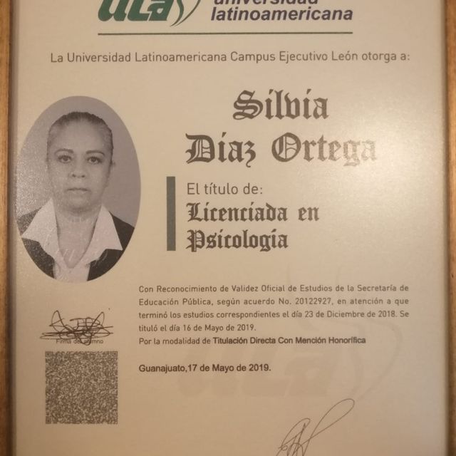 Ampliar imagen: certificate 1