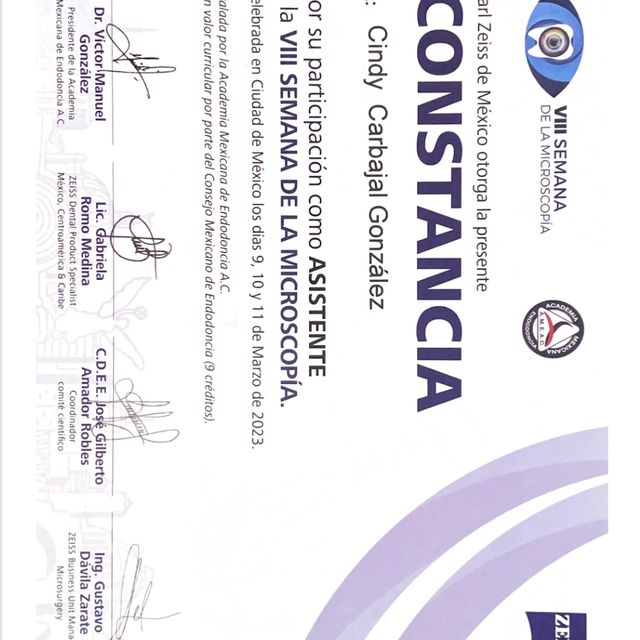 Ampliar imagen: certificate 2
