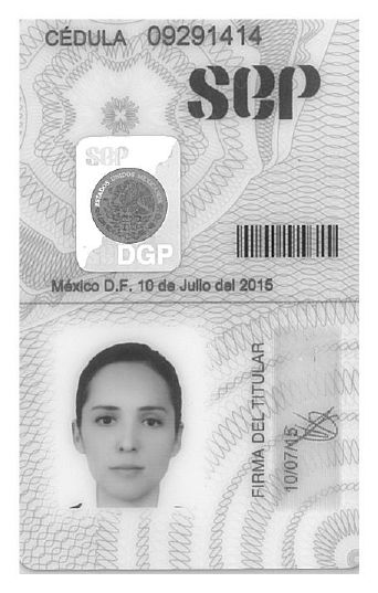 Ampliar imagen: certificate 8