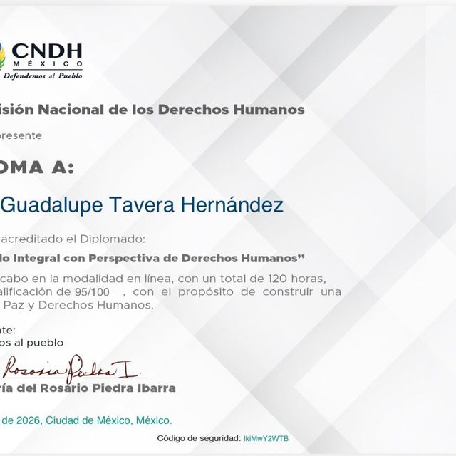 Ampliar imagen: certificate 80