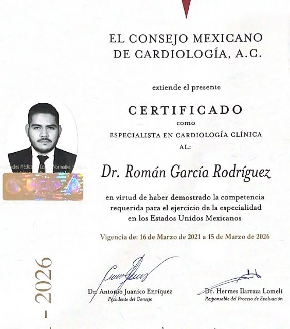 Ampliar imagen: certificate 3