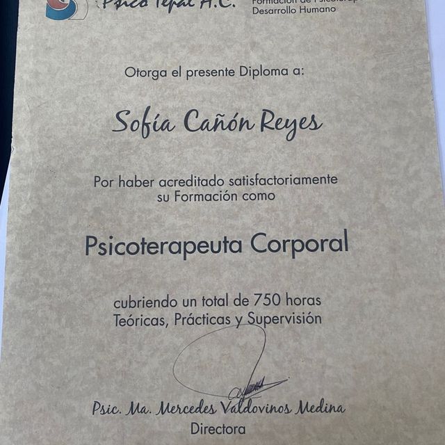 Ampliar imagen: certificate 7